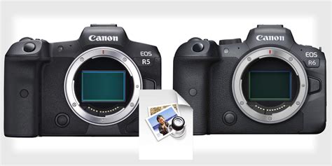 Comparing The Canon R5 And R6 File Formats Raw Craw Jpeg Heif