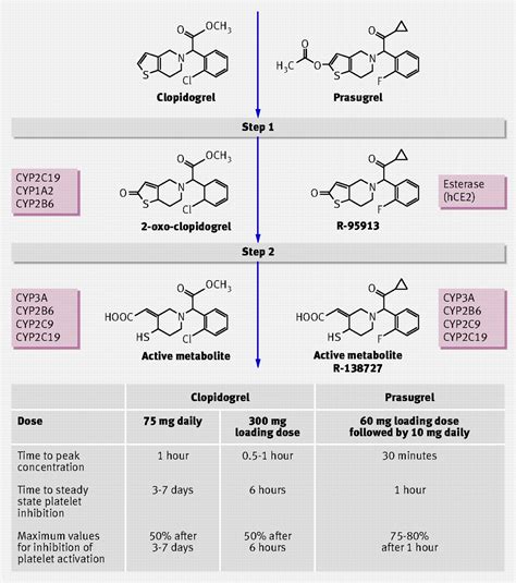 Comparison of Clopidogrel and Prasugrel for Prevention of …