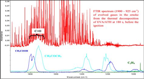 codini.rgarabwor.edu.pl. 
