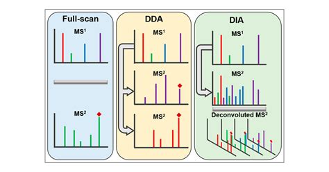 Comparison of Full-Scan, Data-Dependent, and Data-Independent ...