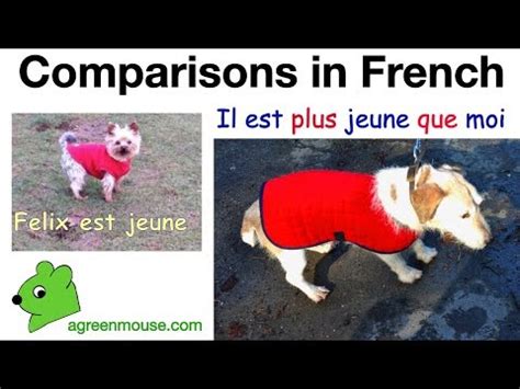 Comparisons in French: Plus … que - A GREEN MOUSE