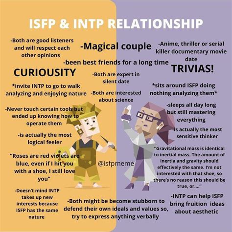 Compatibility of INTP with ISFP in Relationships Truity