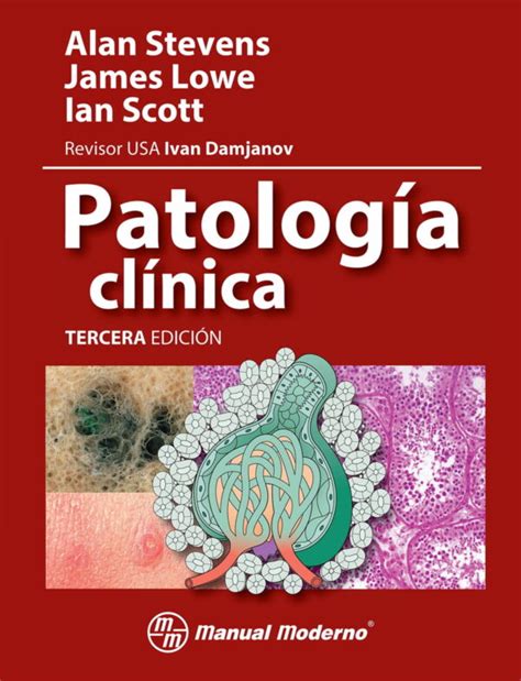 Compendio rápido de patología clínica 3ª edición. - The traveller s handbook to venice and venetia including the.