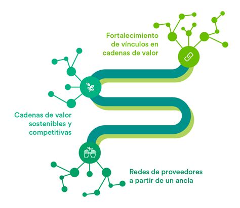 Competitividad económica ambiental para la cadena de lácteos de bolivia. - La farmacia verde de la abuela (todo terapia series).