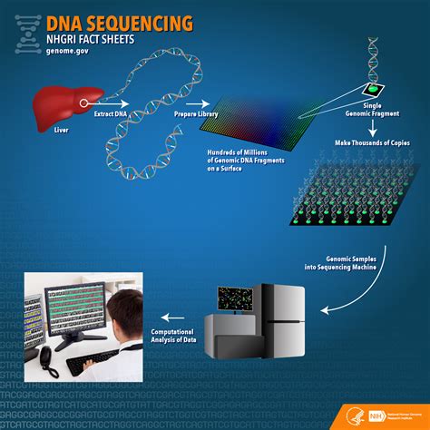 Complete Genomics Makes the Benefits of Genomic Sequencing Accessible For All
