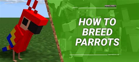 Complete Guide On How To Breed Parrots In Minecraft