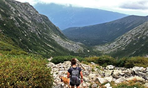 Complete Guide to Hiking Mount Washington Tentside