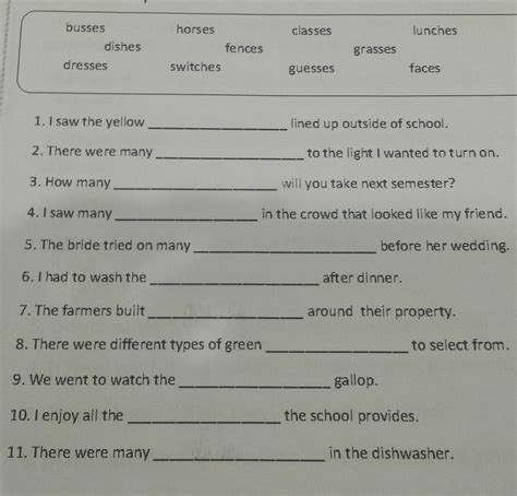 Complete the sentences using the plural form of the words in the box