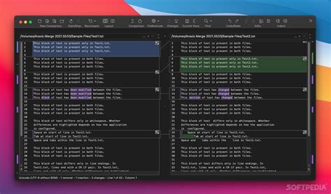 Free access of Araxis Merge 2023 Lightweight