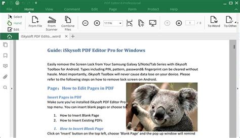 Complimentary get of Moveable iskysoft Pdf Writer 6. 3.