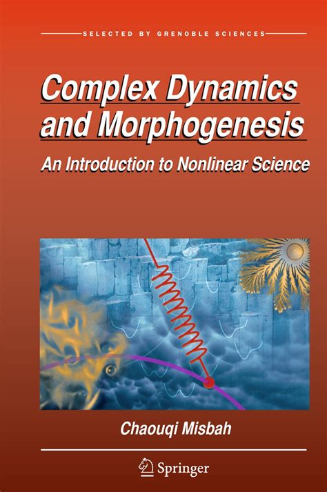 Complex Dynamics And Morphogenesis An Introduction To Nonlinear Science