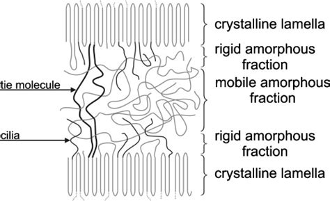 Complex phase structure of semicrystalline polymers, where amorphous...