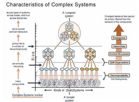 Complex synthesis.  Master complex source synthesis skills for advanced research.  Learn to inte...