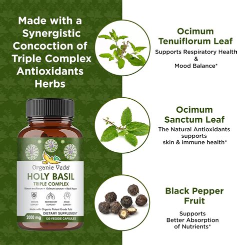 🍆 Complex_Basil_5782 Onlyfans Leak (SEX) 196 Videos