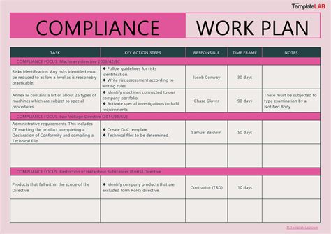 Compliance Work Plan Template