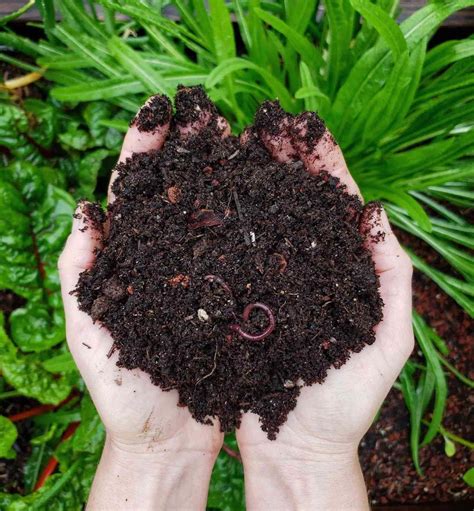 Compost as soil. Fast composting of leaves starts with a layer 6 to 8 inches (15 to 20.5 cm.) thick of leaves with one inch (2.5 cm.) of soil and an inch (2.5 cm.) of manure or another green nitrogen source. You can also add 1 cup (240 mL.) of nitrogen fertilizer. Mix the layers every two weeks and keep the pile moderately moist. 