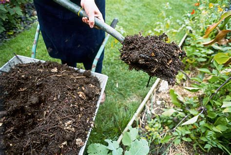 Compost for lawn. Step 4 – Rake Compost into the lawn. Finally, rake the compost into the grass. Take a simple rake and get to work! Just rake the compost until there are no obvious ‘clumps’ that may smother your grass. Step 5 – Water the lawn. Watering the lawn after top-dressing can help get the compost to settle into the thatch and aeration … 