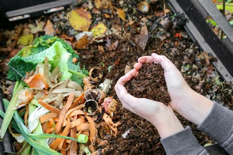 Compost on Soil - Photos by Canva