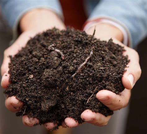 Compost to soil. You can be more generous with compost when getting your soil ready to grow new grass. Work a 1- or 2-inch layer of compost into the top 4 to 6 inches of your soil before planting your grass seeds. Go for 1 inch if your soil is healthy-ish and 2 inches if it’s very sandy, ... 