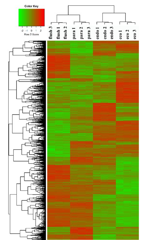 Comprehensive Transcriptome Analyses Reveal Differential Gene