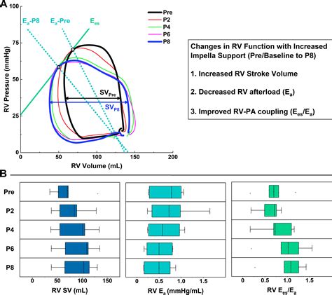 Comprehensive evaluation of Impella RP - PubMed