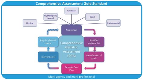 Comprehensive geriatric assessment domains.  A low deductible means a higher c...