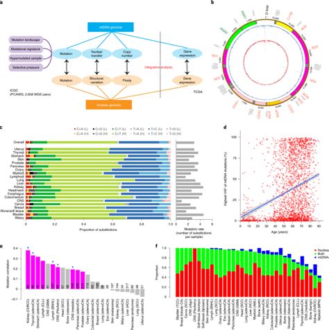 Comprehensive molecular comparison of - Nature