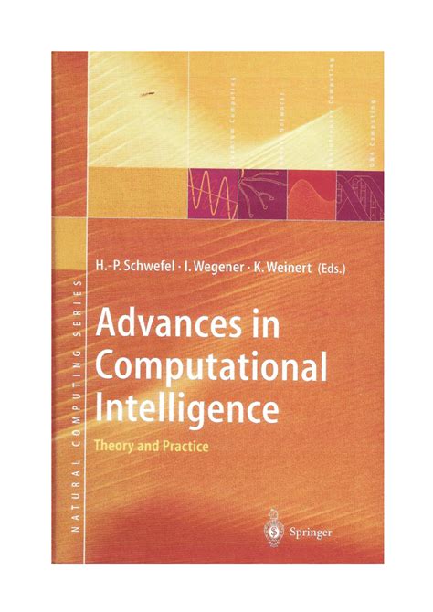 Computational Intelligence In Theory And Practice