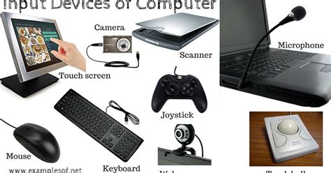 Computer Input & Output Devices