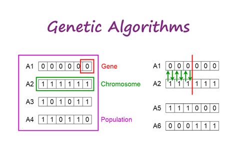 Computer science Case study: Genetic algorithms