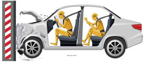 Computer simulations Alternatives to Animal Testing Crash Test