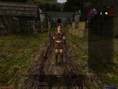 Comunidad Steam :: Guía :: Essential mods for Gothic 2