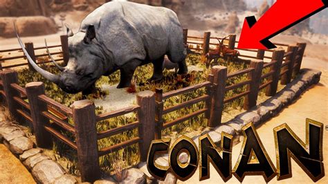 Conan exiles animals. Mounts are mountable pets. They can be used for transport and combat. Horses can be picked up as foals and may also have a "Swift" or "Sturdy" prefix, which does nothing. The Black and White Horses can be crafted from any of the four basic horses using Tainted Fodder or Sorcerous Pet Food. Horse (Variant A) Horse (Variant B) Horse (Variant C) Horse (Variant D) Black Horse (Pet) (Riders of ... 
