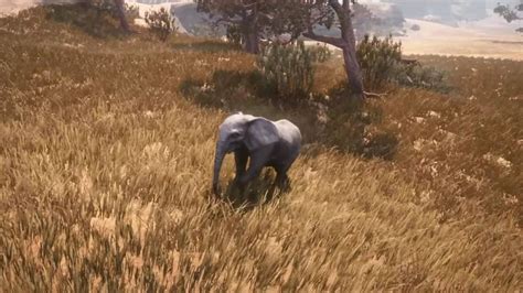 Conan exiles elephant calf. In Conan Exiles, elephant calves can be found in the savannah biome in the southern stretch of G8. When encountering these magnificent creatures, it’s important to note that they may be mistaken for another aggressive mob due to their size and weight. 