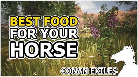 Conan exiles foal food. - A sturdy foal will produce a horse more suited to being a warhorse horse. - A swift foal will produce a horse more suited to being a scout horse, making it the best to get around places. - A normal foal will produce a horse with balanced attributes. The food that foals require for growing into a horse is plant fiber. 