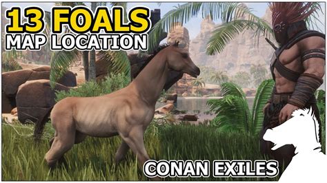Conan exiles foal locations. Mounts are mountable pets. They can be used for transport and combat. Horses can be picked up as foals and may also have a "Swift" or "Sturdy" prefix, which does nothing. The Black and White Horses can be crafted from any of the four basic horses using Tainted Fodder or Sorcerous Pet Food. Horse (Variant A) Horse (Variant B) Horse (Variant C) Horse (Variant D) Black Horse (Pet) (Riders of ... 