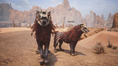 A Dire Wolf is a creature in Conan Exiles. Larger and meaner than the regular Wolf. Greater Wolf (Variant A) Greater Wolf (Variant B) The regular Wolf. . 