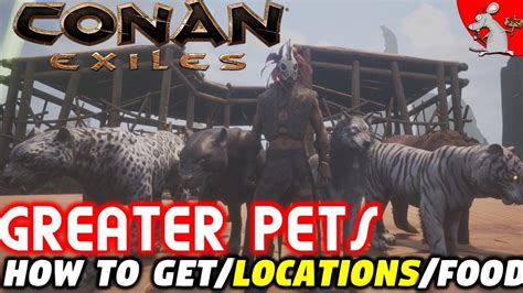 Conan exiles how to get greater pets. Description. Smaller, cuter and significantly less dangerous than its parents, this immature animal can be placed in an animal pen and given various types of fodder to make it grow. With good food and a little luck, it will grow to be a loyal companion or fierce guardian. Or a quick meal. If worst comes to worst. 