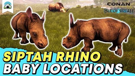Ok, I need to make a little clarification here. Just barely north of the leyshrine is some siptah rhinos, and there is a calf spawn there. The rhinos I was talking about ….