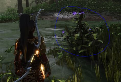 Conan exiles purple lotus. Purple Lotus Swamp. In southern Stygia, the vast deserts eventually break into patches of foul marshland with tropical trees rising from the damp soil. If one journeys further south, the marshlands turn thicker as the trees become denser, until a traveller stands near the edge of the Black Kingdoms and the lush jungle of those mysterious lands ... 