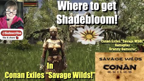 Conan exiles shadebloom. The amount you can gather from a single run is more than enough. You only need to use a single piece of whatever shadebloom food your making to tame the pet. I went through and killed the first boss and got 12 shadebloom flowers, had to leave, made some shadebloom meat from pork and started taming a saber, got lucky but got a greater first try. 