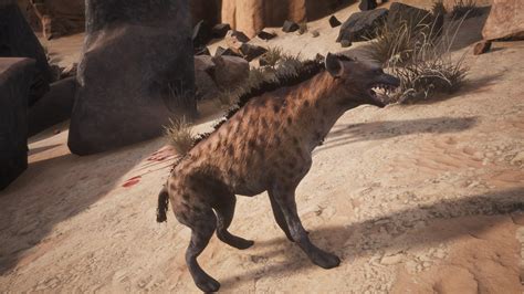 Conan exiles striped hyena pet. Mar 17, 2020 · Shoebill (Shoebill Egg) – 16:22. Spider (Spider Egg-sac) – 16:51. Tiger (Tiger Cub) – 17:12. Undead & Skeletons (Witch Doctor Feat) – 17:58. Wolf (Wolf/Frostwolf Cub) – 18:27. Yetis (Boons) – 19:38. In addition to our pet animal locations, check out this companion video that showcases all animals in the game (per March 2020) and ... 