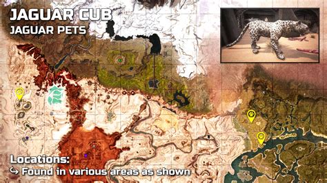 Conan wolf cub location. Taming is the process by which a baby animal becomes an adult pet in Conan Exiles. See also: Pet From the most docile to the most dangerous beasts and creatures alike, the Player can tame a loyal companion to follow them into battle or a fierce guardian to defend that which is most sacred to them. A Player will start their career as a Beastmaster by building the appropriate shelter to house ... 