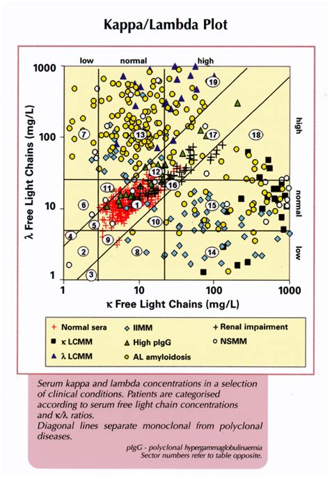 Concentrations of Serum Free Light Chains in Kappa and …