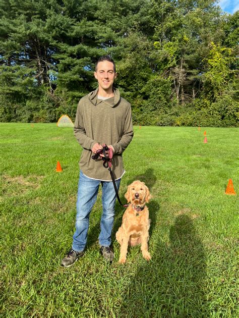 Concentric Canine Physical Therapy and Dog Massage - Stow, MA