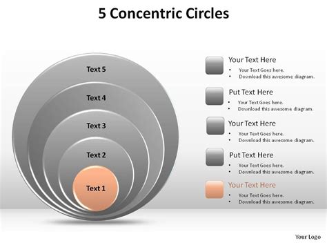 Concentric Circle Diagram PPT Template