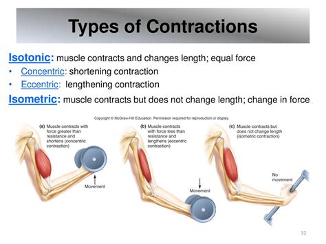 Concentric Muscle Contractions to Build Strength