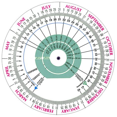 Conception Calendar Chart Michael Lewis