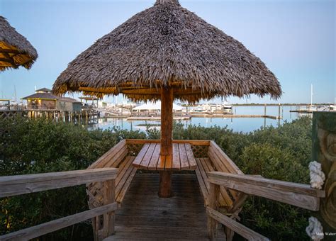 Conch house st augustine. Hotels near The Conch House Marina Resort, St. Augustine on Tripadvisor: Find 88,195 traveler reviews, 42,770 candid photos, and prices for 152 hotels near The Conch House Marina Resort in St. Augustine, FL. 