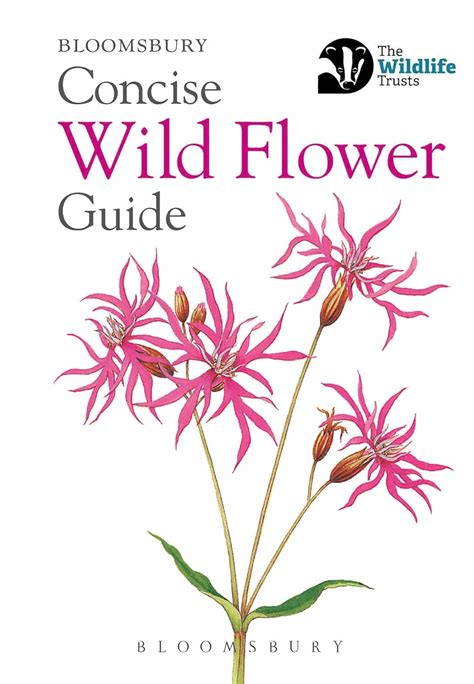 Concise wild flower guide bloomsbury publishing. - Manual do proprietario ford fiesta 2009.